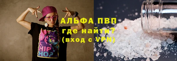 шишки Аркадак