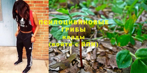 прущая мука Дмитровск