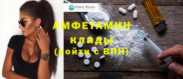 шишки Аркадак