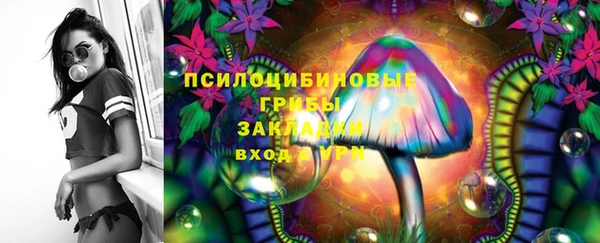 шишки Аркадак