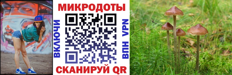 даркнет сайт  Рудня  Галлюциногенные грибы Psilocybine cubensis 